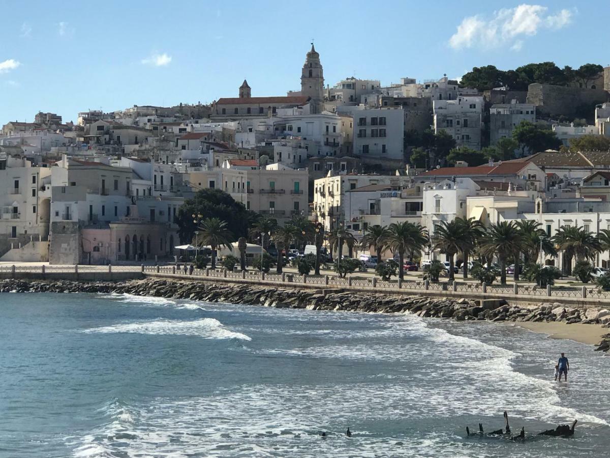 Appartement La Casa Nel Borgo à Vieste Extérieur photo