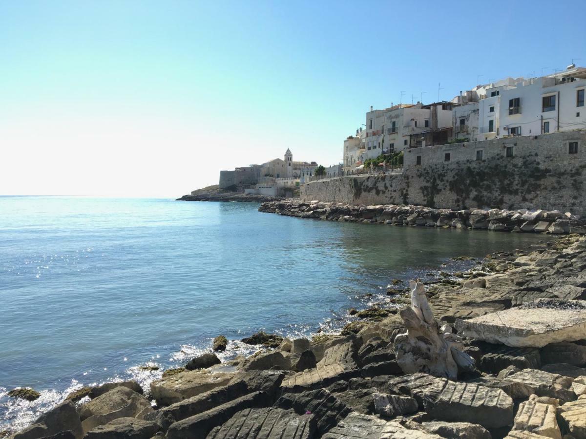 Appartement La Casa Nel Borgo à Vieste Extérieur photo